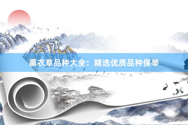 薰衣草品种大全：精选优质品种保举